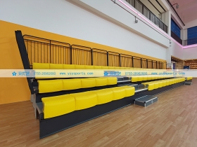 廣東省佛山市——高明區(qū)悅高騰球館 廣東省佛山市——高明區(qū)悅高騰球館